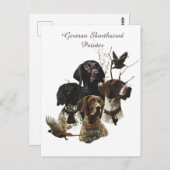 Carte Postale 4 Couleurs de pointeur germanophones (Devant / Derrière)