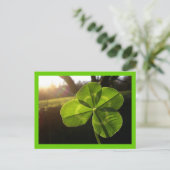 Carte postale 4 feuilles (Debout devant)