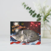 Carte Postale 4 juillet Chat et feux d'artifice (Debout devant)