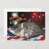 Carte Postale 4 juillet Chat et feux d'artifice (Devant / Derrière)
