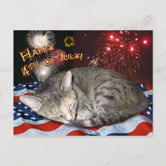 Carte Postale 4 juillet Chat et feux d'artifice (Devant)