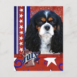 Carte Postale 4 juillet Firecracker - Cavalier - Tri-color