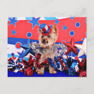 Carte Postale 4 juillet - Yorkie - Vinnie