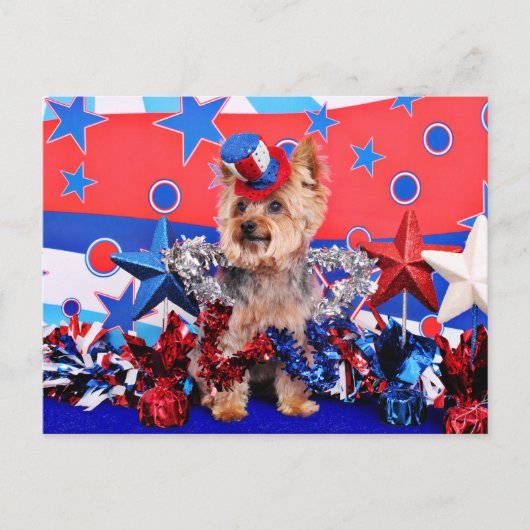 Carte Postale 4 juillet - Yorkie - Vinnie (Devant)