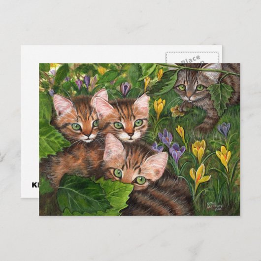 Carte postale 4 Kittens Crocus (Devant / Derrière)