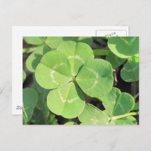 Carte Postale 4 Leaf Clover Good (Devant / Derrière)