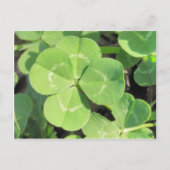 Carte Postale 4 Leaf Clover Good (Devant)