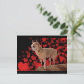 Carte Postale 4 livres de Pure Love (Debout devant)