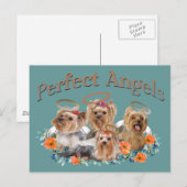 Carte Postale 4 Yorkie Cadeaux parfaits Angles (Devant / Derrière)
