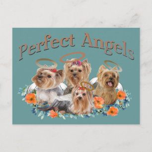 Carte Postale 4 Yorkie Cadeaux parfaits Angles