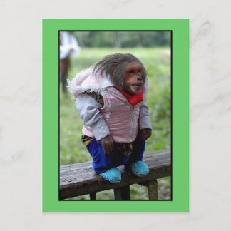CARTE POSTALE 52170