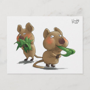 Carte Postale 58 : Quokkas