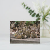 Carte Postale 5 Chipmunks pour bébés (Debout devant)