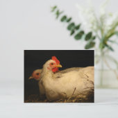 Carte Postale 5 orteils et survivants (Debout devant)