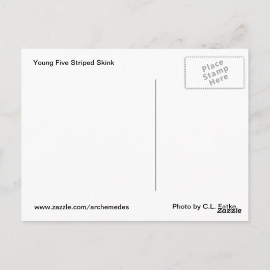 Carte Postale 5 skink rayé (Dos)