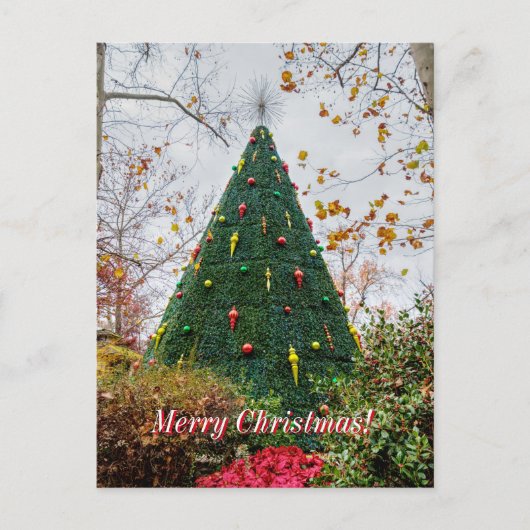 Carte Postale 5 Story Sdc Tree Christmas Postcard (Devant)