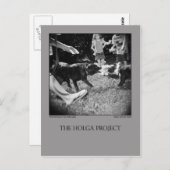 carte postale 6 (Devant / Derrière)