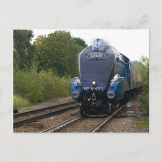 Carte Postale 60019 Bittern (comme 4492 Dominion de Nouvelle-Zél
