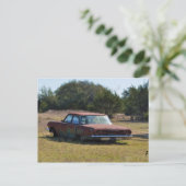 Carte Postale 63 Chev abandonné. (Debout devant)