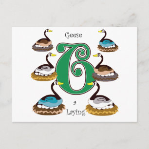 Carte Postale 6 Oies a Lay