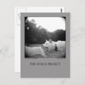 Carte postale 7 (Devant / Derrière)