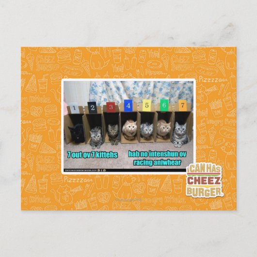 Carte Postale 7 kittehs d'OV 7 (Devant)