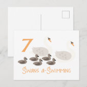 Carte Postale 7 Swans a Natation (Devant / Derrière)