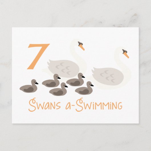 Carte Postale 7 Swans a Natation (Devant)