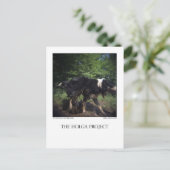 Carte postale 8 (Debout devant)