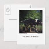 Carte postale 8 (Devant / Derrière)