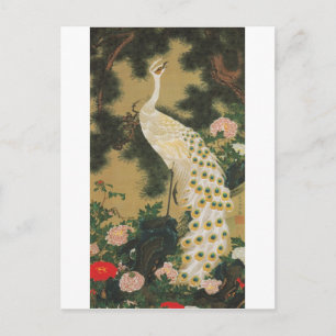 Carte Postale 9. 老松孔雀図, pin de 若冲 vieux et paon, Jakuchu