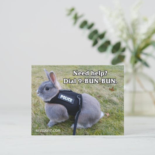 Carte postale 9 Bun Bun (Debout devant)