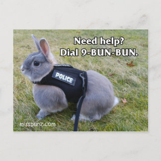 Carte postale 9 Bun Bun