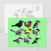 Carte Postale 9 Oiseaux de Jardin du sud-est des États-Unis (Devant / Derrière)
