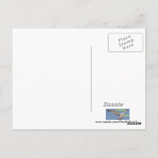 Carte Postale A11 Flamingo Postcard (Dos)