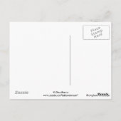 Carte Postale A45 Pronghorn Antelope Bucks (Dos)