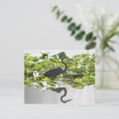 Carte postale A6 Great Heron (Debout devant)