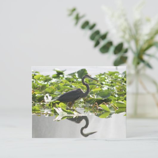 Carte postale A6 Great Heron (Debout devant)