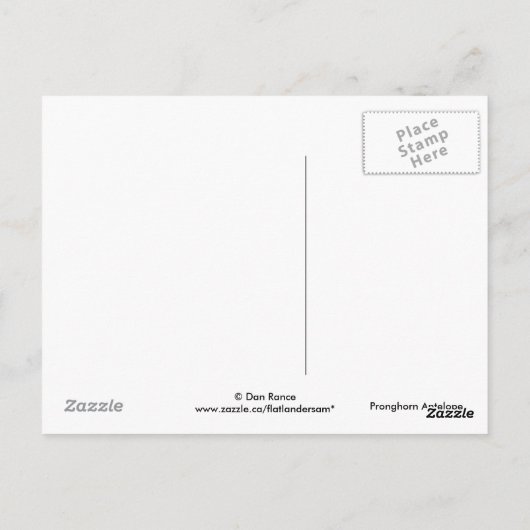 Carte Postale A8 Pronghorn Antelope Big Buck (Dos)