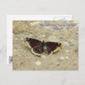 Carte postale à aile cassée (Devant / Derrière)