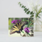 Carte postale à aile cassée (Debout devant)