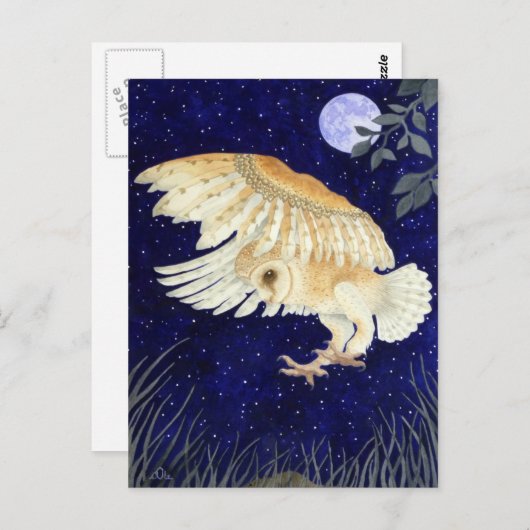 Carte Postale A Barn Owl in flight (Devant / Derrière)