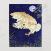 Carte Postale A Barn Owl in flight (Devant)