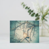 Carte Postale A beautiful Dove (Debout devant)