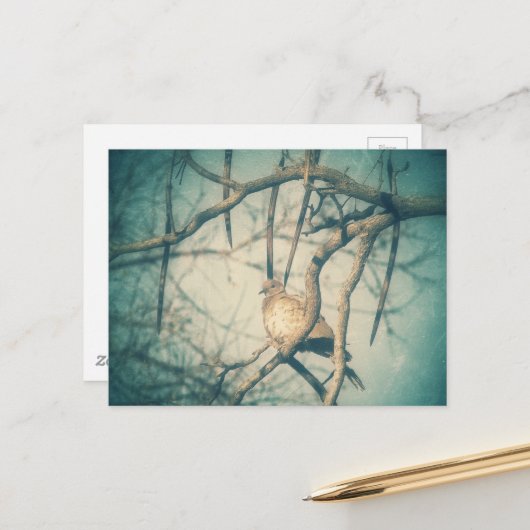 Carte Postale A beautiful Dove (Devant/Arrière en situation)