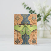 Carte Postale A Beautiful Green Moth Brown Blue Background (Debout devant)