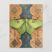 Carte Postale A Beautiful Green Moth Brown Blue Background (Devant)