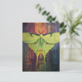 Carte Postale A Beautiful Luna Moth (Debout devant)