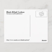 Carte postale à bec noir (Dos)