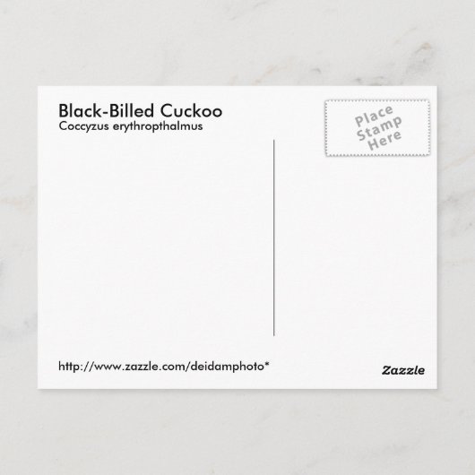 Carte postale à bec noir (Dos)